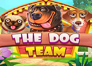 The Dog Team